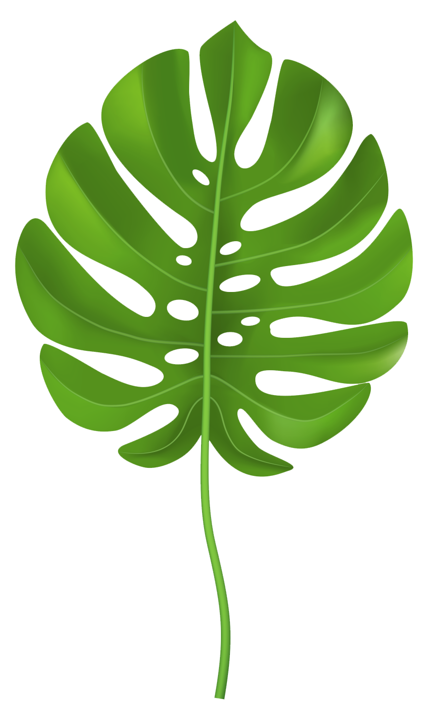 Floating palm leaf